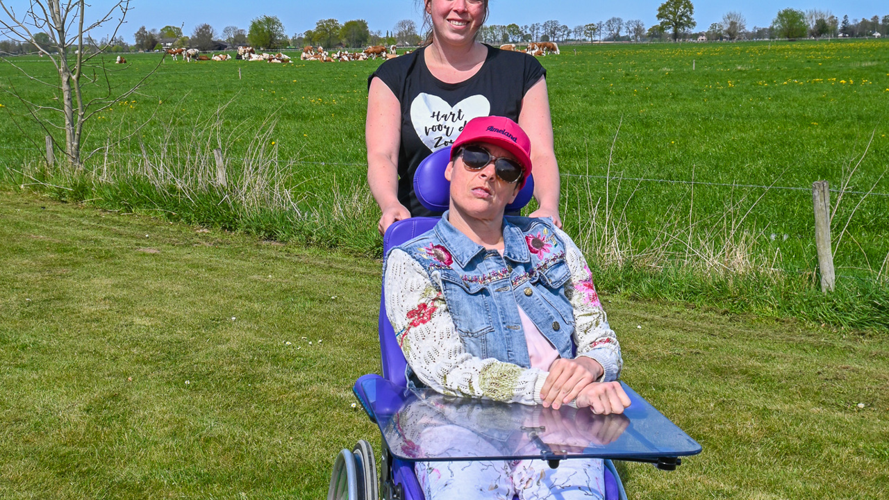 Zideris Werken Bij Wandelen Met Client