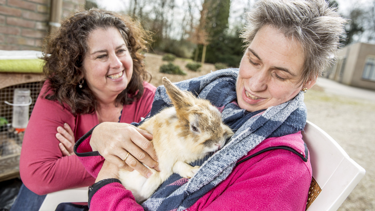 Zideris Werken Bij Knuffelen Met Konijn